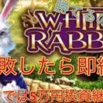 オンラインcasino【White Rabbit】2連敗したら即終了！！儲かるか？