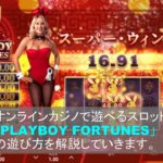 オンラインカジノのビデオスロット「PlayboyFortunes」の遊び方を解説しています。