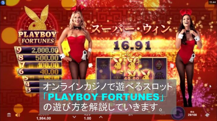 オンラインカジノのビデオスロット「PlayboyFortunes」の遊び方を解説しています。