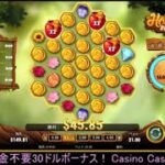 オンラインカジノ【Casino Casino】2021/02/27ニコ生にて配信