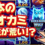 ギャンブル台！日本狼！【オンラインカジノ】【10bet Japan】【HOKKAIDO WOLF】
