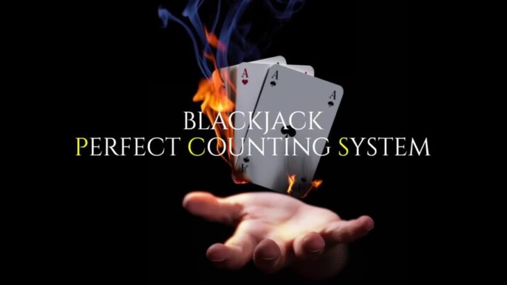オンラインカジノ「ブラックジャック(カードカウンティング)」-Perfect Counting System- by Leorek 日本語字幕付き