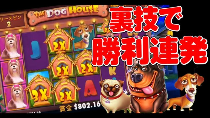 【オンラインカジノ転生2回目】ドッグハウスに裏技で挑む！【The Dog House】【オンカジ】