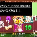 THE DOG HOUSEに100＄でぶん回してみた！！【オンラインカジノ】【100＄実践　Part1】【THE DOG HOUSE】